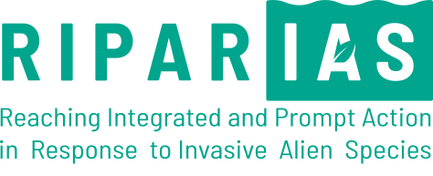 Riparias
